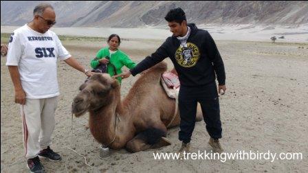 Came at Nubra Valley